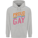 LGBT Pride Awareness Proud To Be Gay Childrens Kids Hoodie Sports Grey