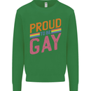 LGBT Pride Awareness Proud To Be Gay Kids Sweatshirt Jumper Irish Green