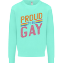 LGBT Pride Awareness Proud To Be Gay Kids Sweatshirt Jumper Peppermint