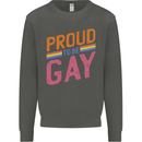 LGBT Pride Awareness Proud To Be Gay Kids Sweatshirt Jumper Storm Grey