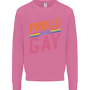 LGBT Pride Awareness Proud To Be Gay Mens Sweatshirt Jumper Azalea
