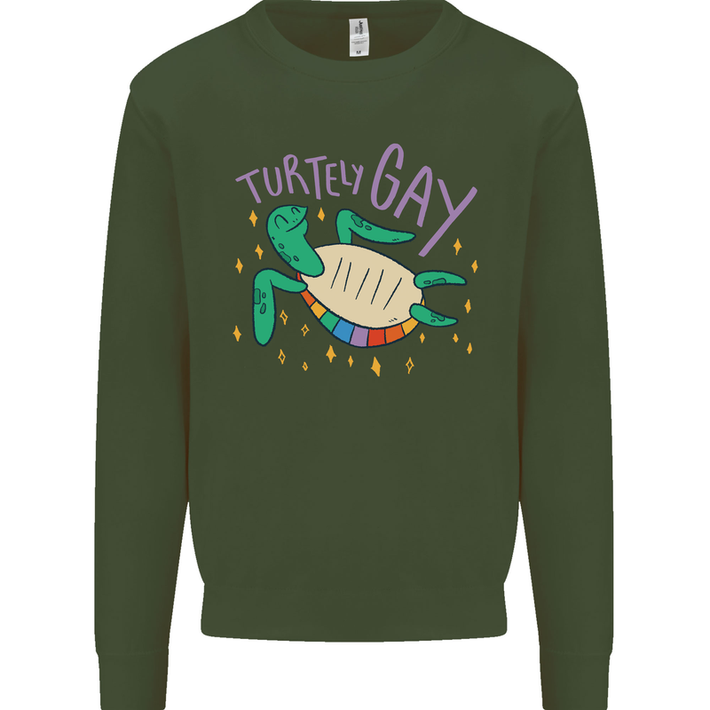 LGBT Turtle Gay Pride Day Awareness Kids Sweatshirt Jumper Forest Green