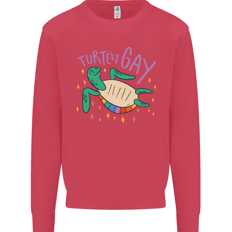 LGBT Turtle Gay Pride Day Awareness Kids Sweatshirt Jumper Heliconia