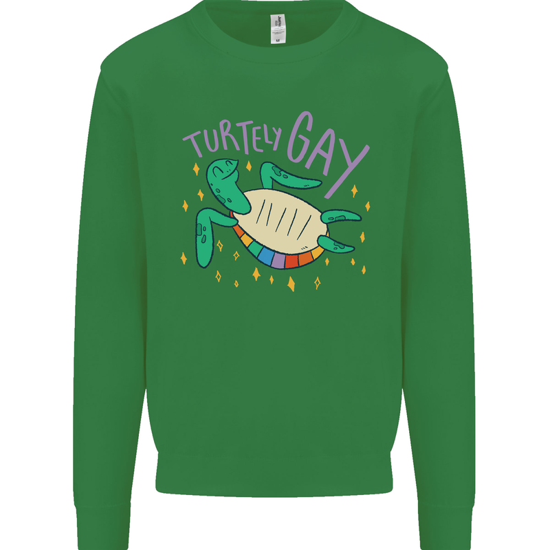 LGBT Turtle Gay Pride Day Awareness Kids Sweatshirt Jumper Irish Green