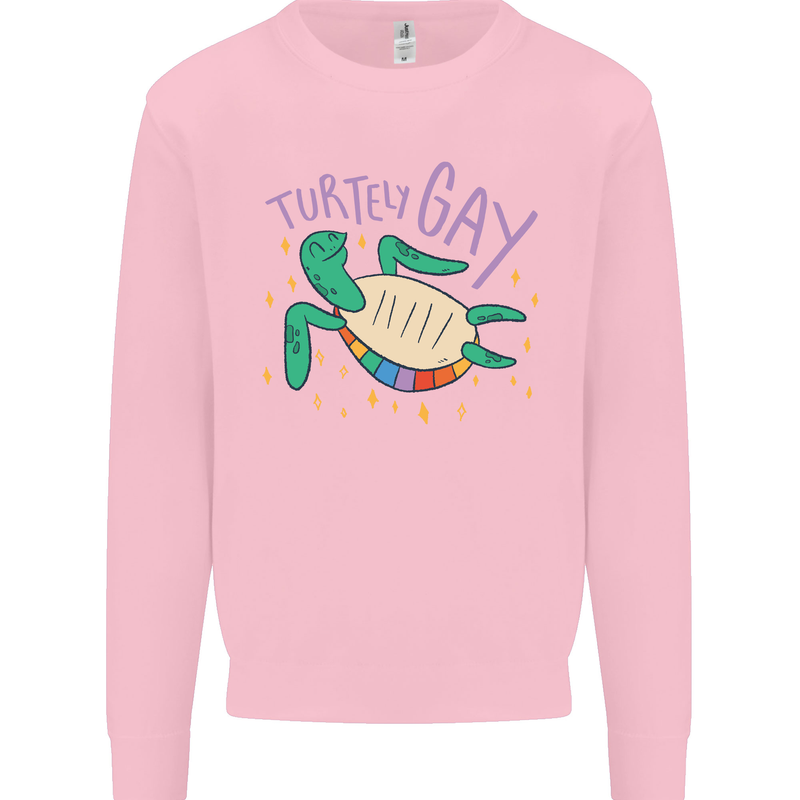 LGBT Turtle Gay Pride Day Awareness Kids Sweatshirt Jumper Light Pink