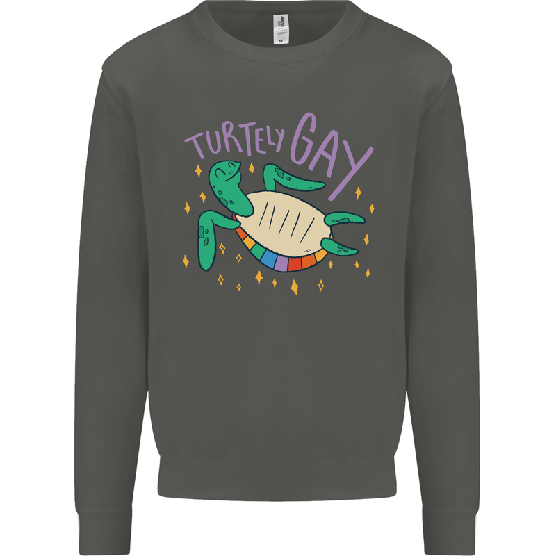 LGBT Turtle Gay Pride Day Awareness Kids Sweatshirt Jumper Storm Grey