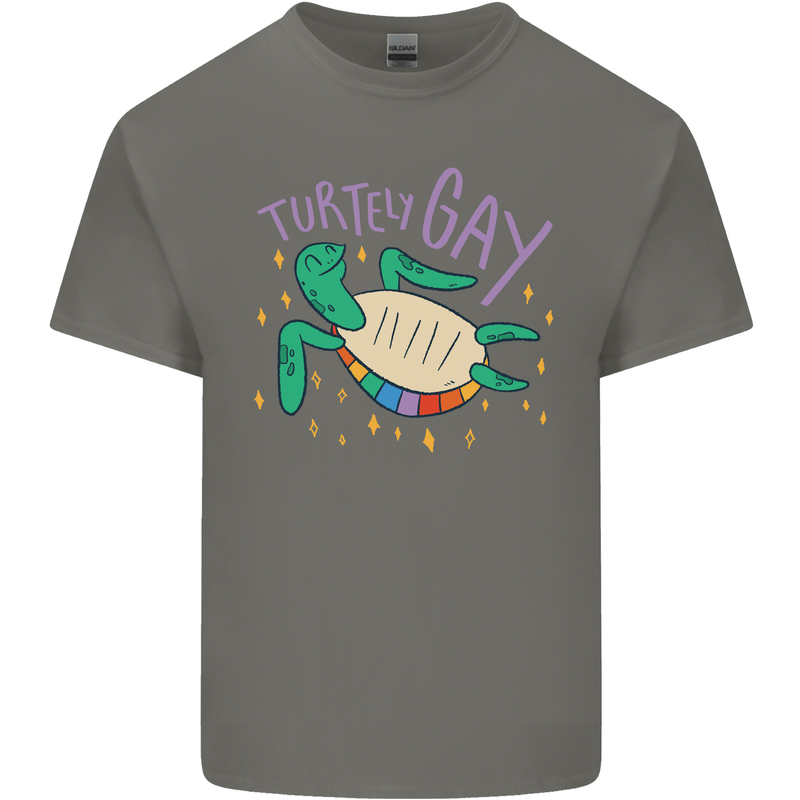 LGBT Turtle Gay Pride Day Awareness Kids T-Shirt Childrens Charcoal