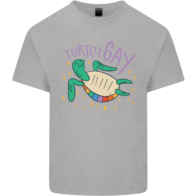 LGBT Turtle Gay Pride Day Awareness Kids T-Shirt Childrens Sports Grey