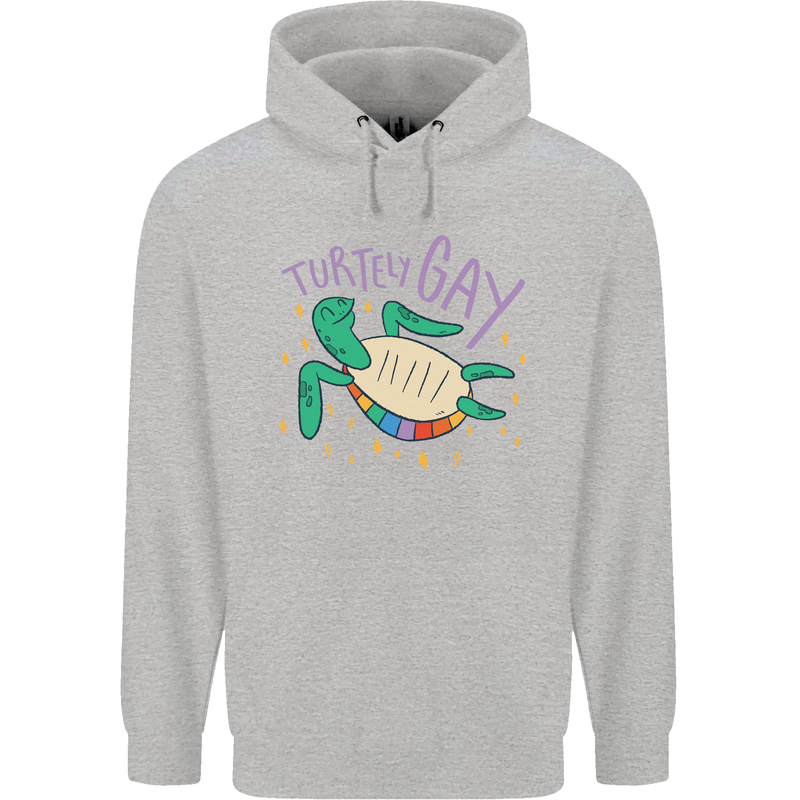 LGBT Turtle Gay Pride Day Awareness Mens 80% Cotton Hoodie Sports Grey