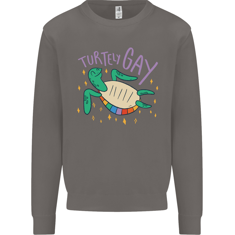 LGBT Turtle Gay Pride Day Awareness Mens Sweatshirt Jumper Charcoal
