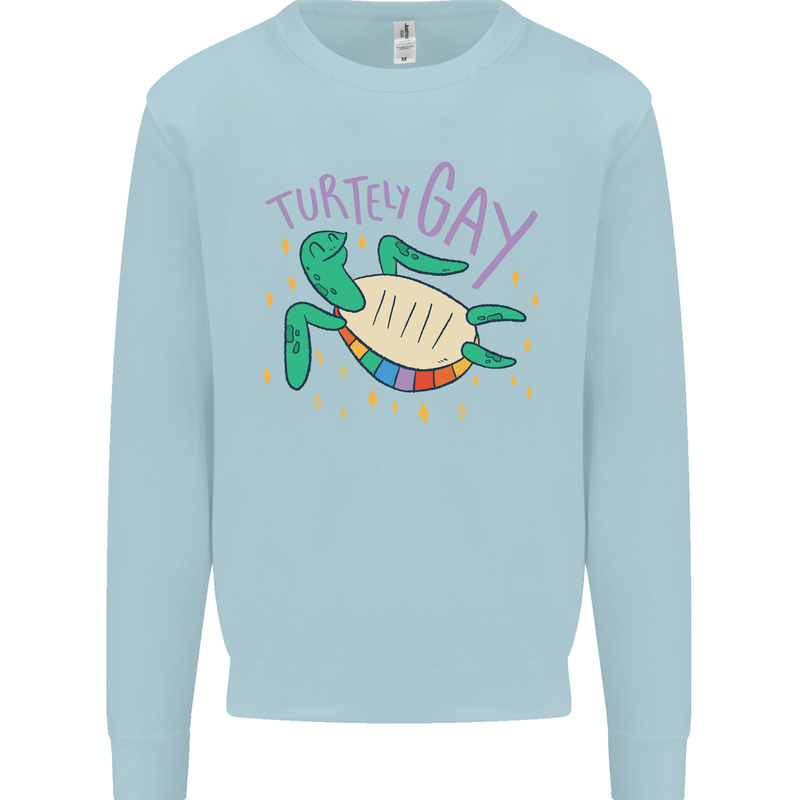 LGBT Turtle Gay Pride Day Awareness Mens Sweatshirt Jumper Light Blue
