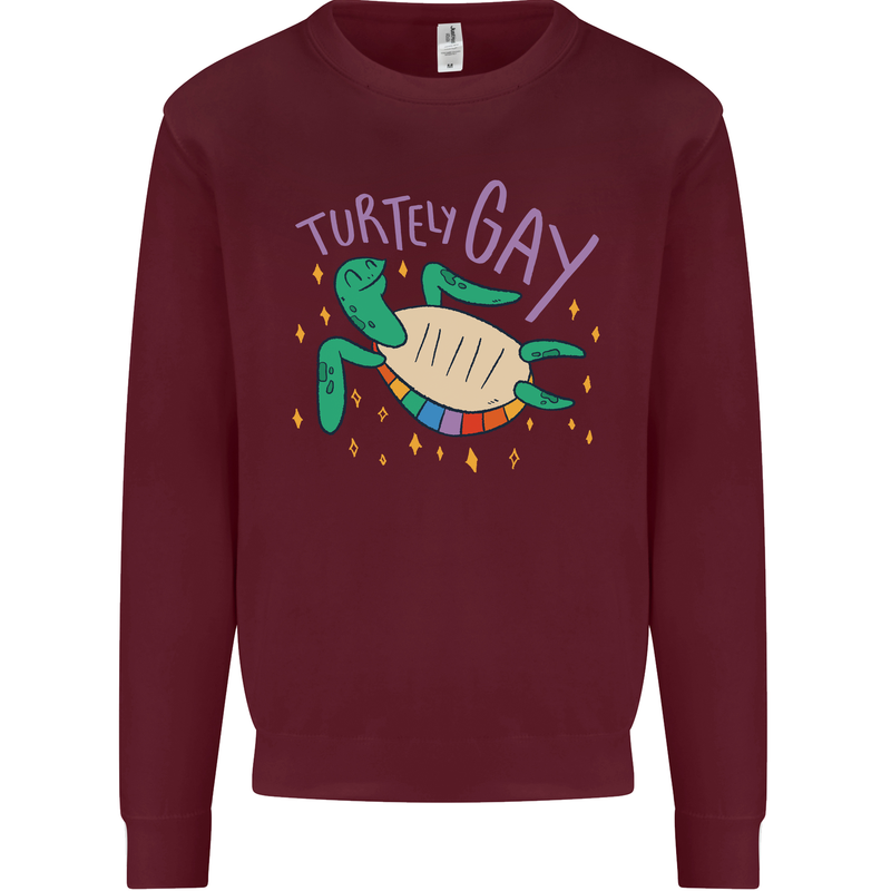 LGBT Turtle Gay Pride Day Awareness Mens Sweatshirt Jumper Maroon