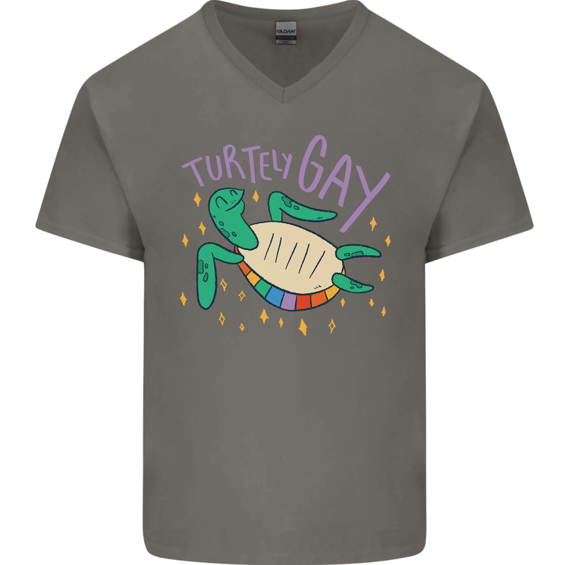 LGBT Turtle Gay Pride Day Awareness Mens V-Neck Cotton T-Shirt Charcoal