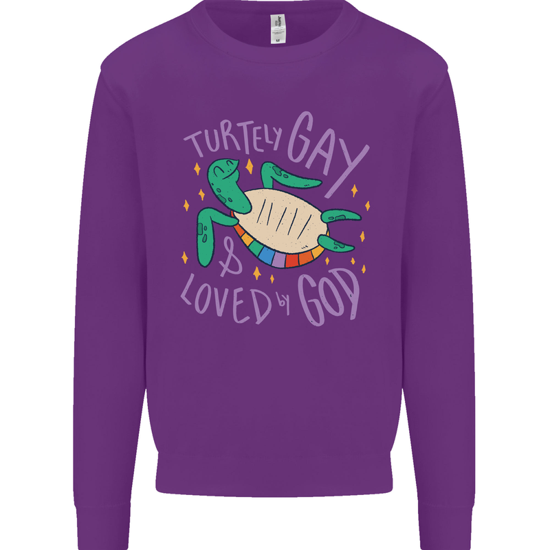 LGBT Turtle Loved By God Gay Pride Kids Sweatshirt Jumper Purple