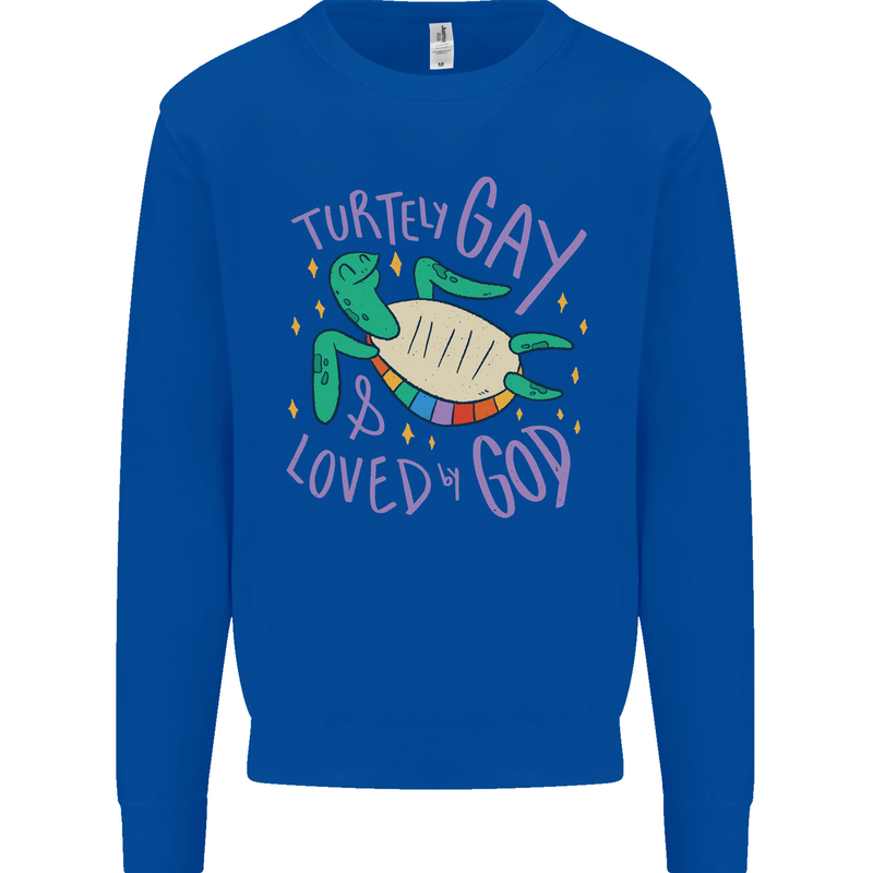 LGBT Turtle Loved By God Gay Pride Kids Sweatshirt Jumper Royal Blue