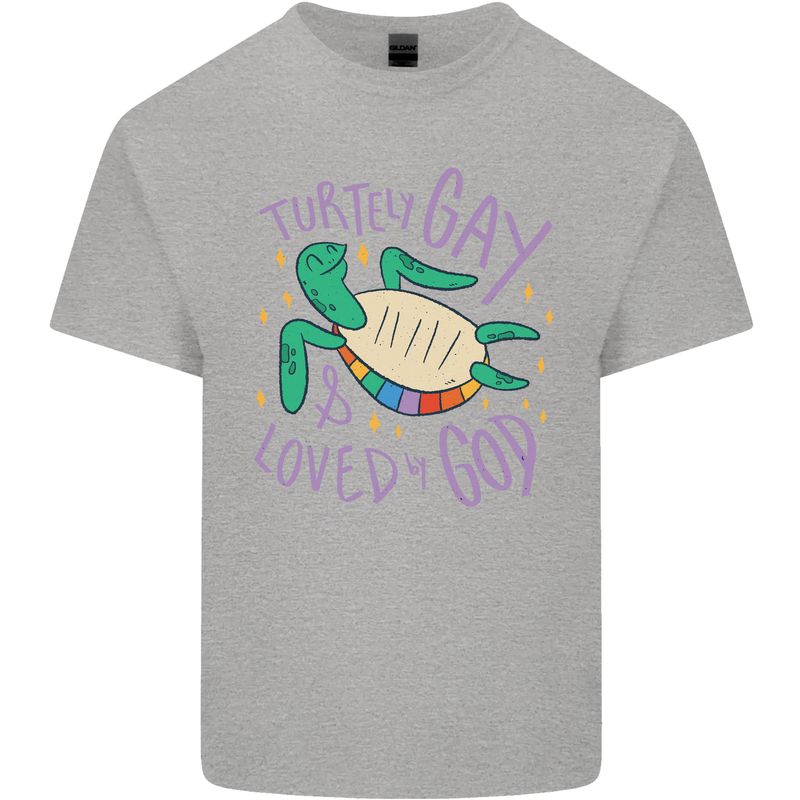 LGBT Turtle Loved By God Gay Pride Kids T-Shirt Childrens Sports Grey