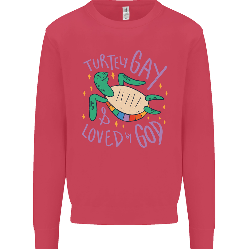 LGBT Turtle Loved By God Gay Pride Mens Sweatshirt Jumper Heliconia