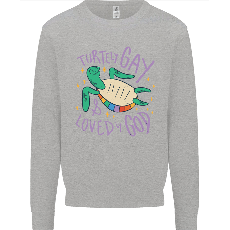 LGBT Turtle Loved By God Gay Pride Mens Sweatshirt Jumper Sports Grey