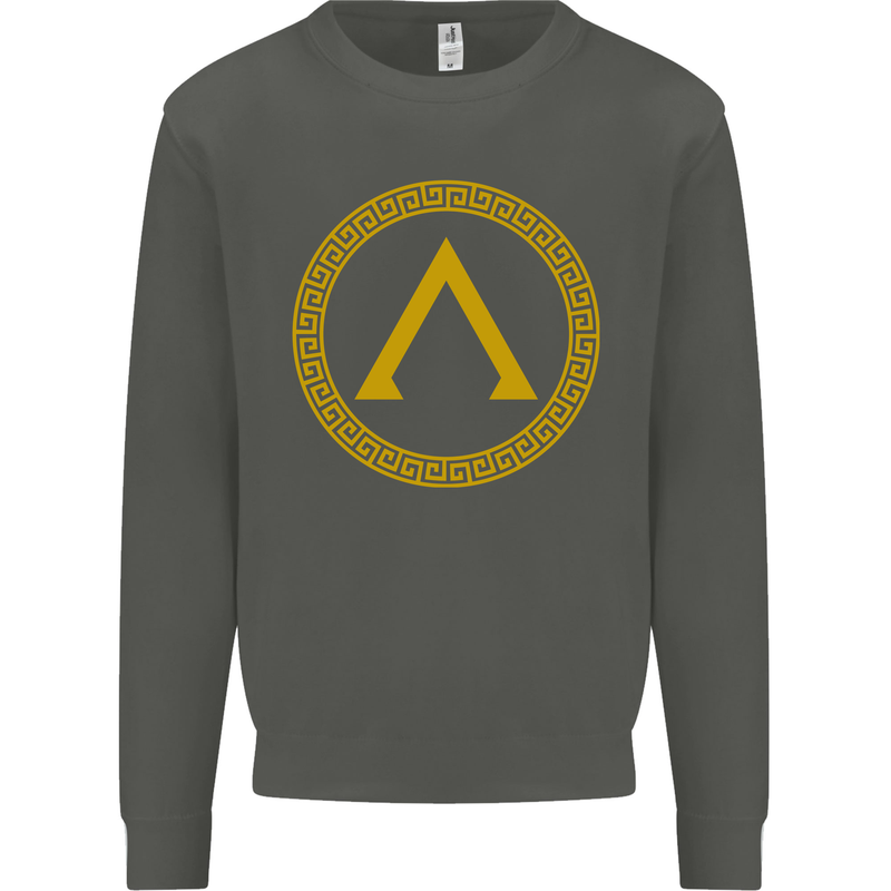 Lambda Gym Spartan Bodybuilding Fitness Kids Sweatshirt Jumper Storm Grey
