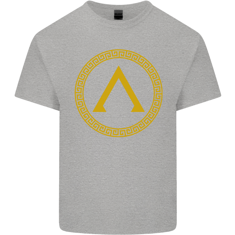 Lambda Gym Spartan Bodybuilding Fitness Kids T-Shirt Childrens Sports Grey