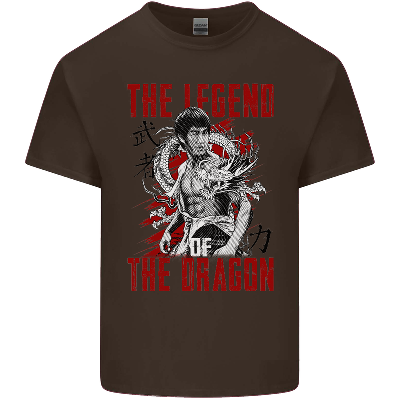 Legend of the Dragon MMA Martial Arts Movie Kids T-Shirt Childrens Chocolate