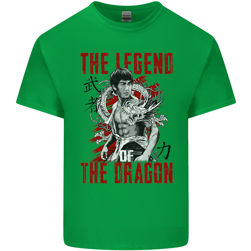 Legend of the Dragon MMA Martial Arts Movie Kids T-Shirt Childrens Irish Green