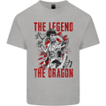Legend of the Dragon MMA Martial Arts Movie Kids T-Shirt Childrens Sports Grey