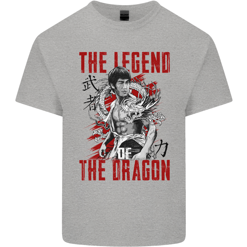 Legend of the Dragon MMA Martial Arts Movie Kids T-Shirt Childrens Sports Grey