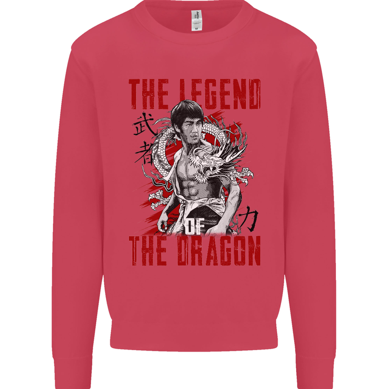 Legend of the Dragon MMA Martial Arts Movie Mens Sweatshirt Jumper Heliconia