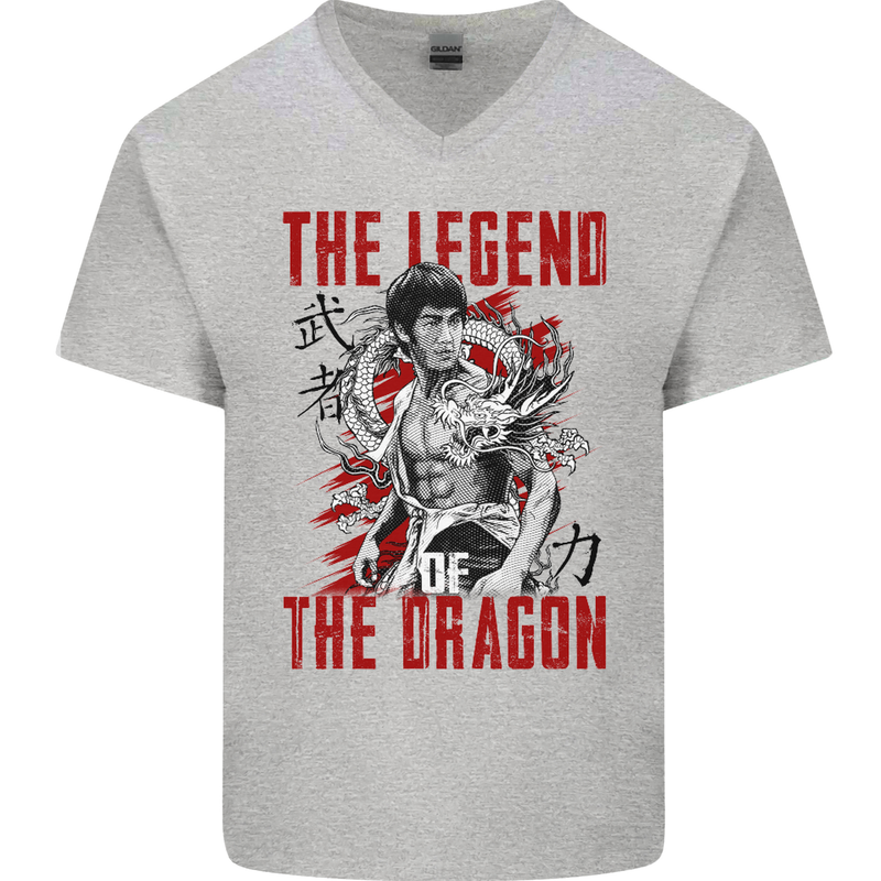 Legend of the Dragon MMA Martial Arts Movie Mens V-Neck Cotton T-Shirt Sports Grey