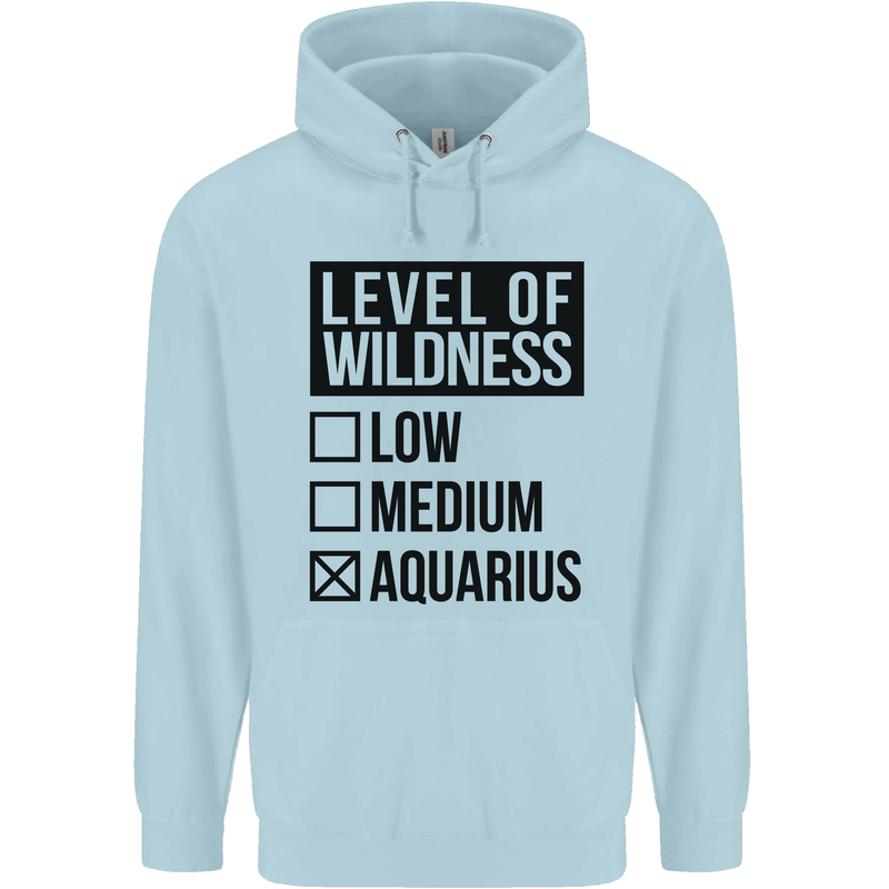 Levels of Wildness Aquarius Childrens Kids Hoodie Light Blue