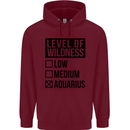 Levels of Wildness Aquarius Childrens Kids Hoodie Maroon