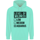 Levels of Wildness Aquarius Childrens Kids Hoodie Peppermint