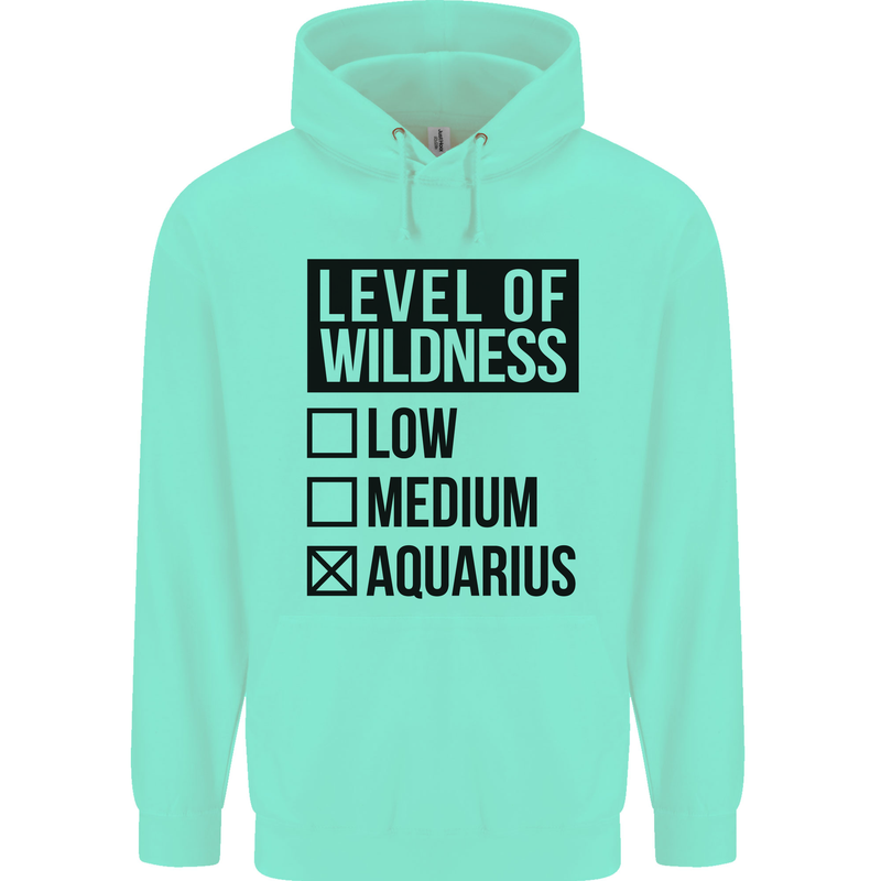 Levels of Wildness Aquarius Childrens Kids Hoodie Peppermint