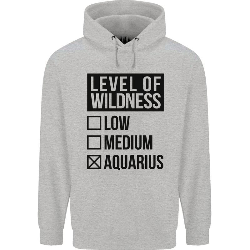 Levels of Wildness Aquarius Childrens Kids Hoodie Sports Grey