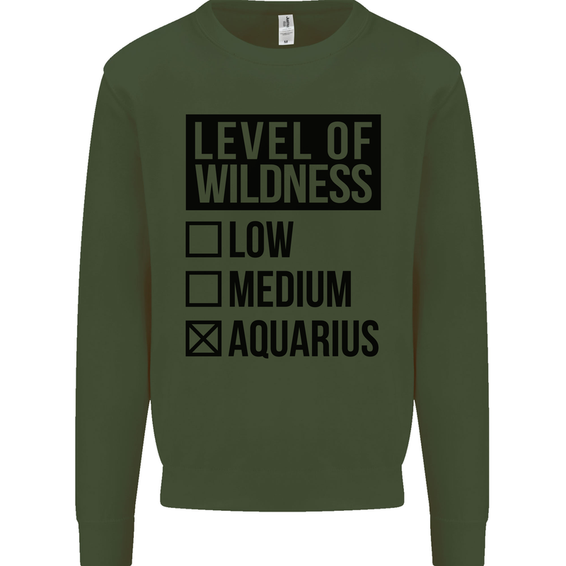 Levels of Wildness Aquarius Kids Sweatshirt Jumper Forest Green