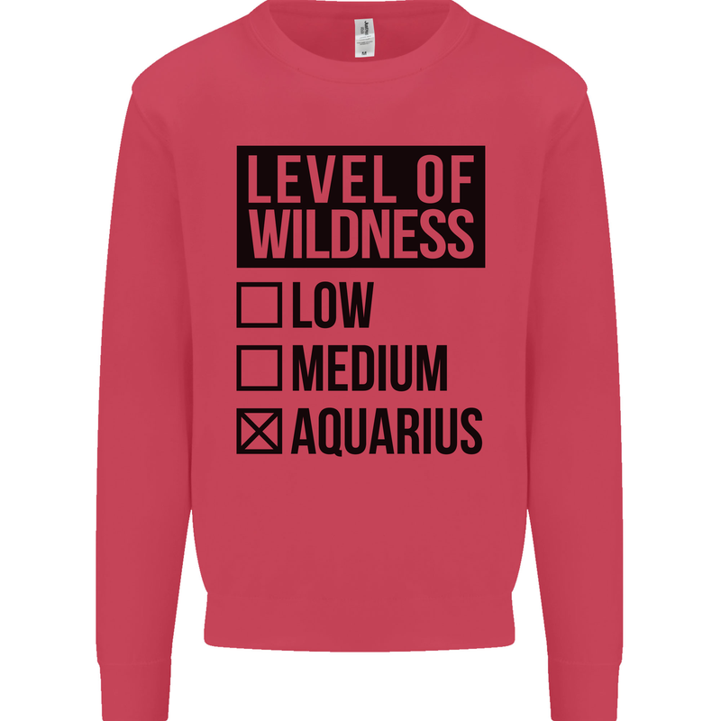 Levels of Wildness Aquarius Kids Sweatshirt Jumper Heliconia