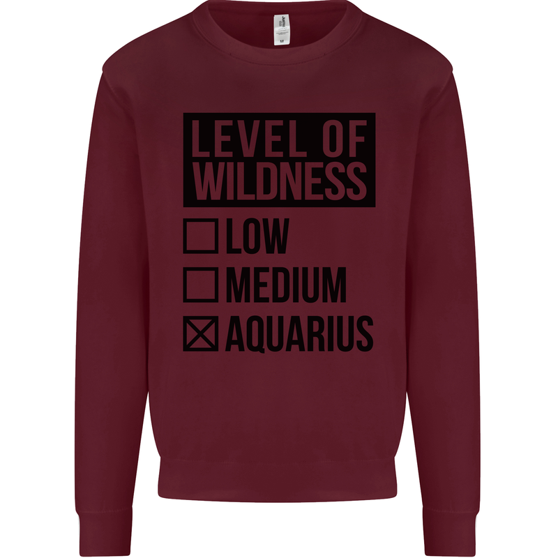 Levels of Wildness Aquarius Kids Sweatshirt Jumper Maroon