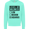 Levels of Wildness Aquarius Kids Sweatshirt Jumper Peppermint
