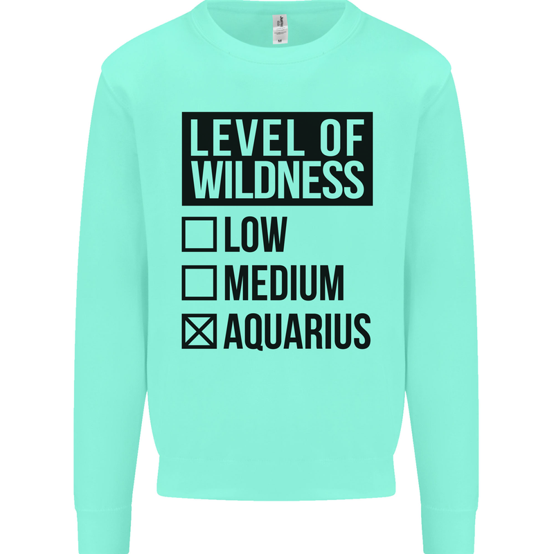 Levels of Wildness Aquarius Kids Sweatshirt Jumper Peppermint