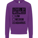 Levels of Wildness Aquarius Kids Sweatshirt Jumper Purple