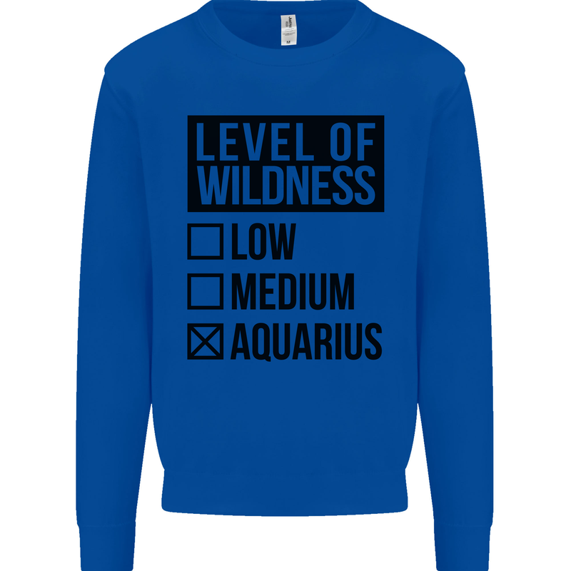 Levels of Wildness Aquarius Kids Sweatshirt Jumper Royal Blue