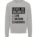 Levels of Wildness Aquarius Kids Sweatshirt Jumper Sports Grey