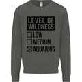 Levels of Wildness Aquarius Kids Sweatshirt Jumper Storm Grey