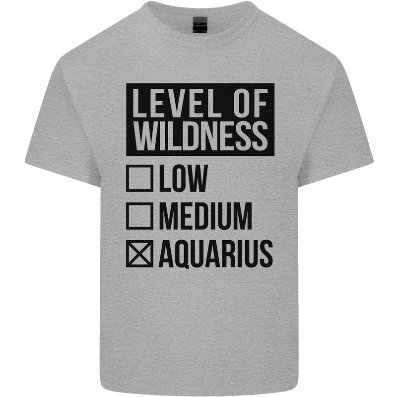 Levels of Wildness Aquarius Kids T-Shirt Childrens Sports Grey