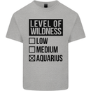 Levels of Wildness Aquarius Mens Cotton T-Shirt Tee Top Sports Grey