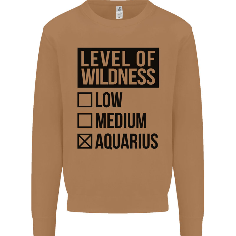 Levels of Wildness Aquarius Mens Sweatshirt Jumper Caramel Latte