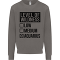Levels of Wildness Aquarius Mens Sweatshirt Jumper Charcoal