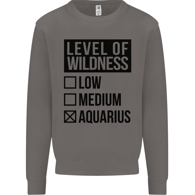 Levels of Wildness Aquarius Mens Sweatshirt Jumper Charcoal