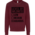 Levels of Wildness Aquarius Mens Sweatshirt Jumper Maroon